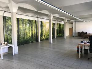 599-XXL-Wandbild-Riesen-Foto-Wald-Digitaldruck-Dresden