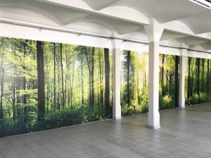 599-XXL-Wandbild-Riesen-Foto-Wald-Produktion-Dresden