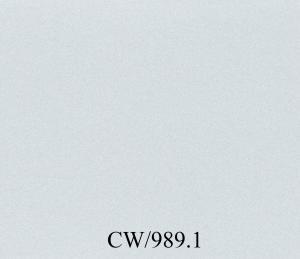 Autofolie-APA-CW-989-1_Hellsilber Matt