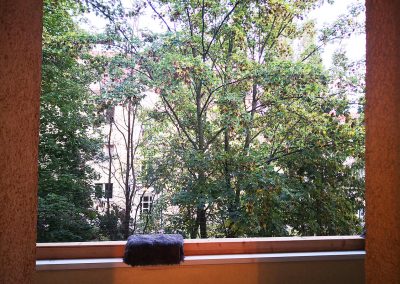 Wohnung Dresden Ost zu vermieten mit Balkon Gruen