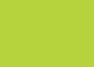 Autofolie-Avery Lime Green