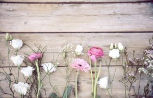 Blumenhalle-Boehme-Blumengeschaeft-Dresden-Tolkewitz-start
