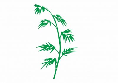 Pflanzen-0044-Flora-Bambus-Wandtattoo-Fensterbild-Wandbild-Wandaufkleber