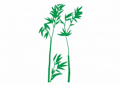 Pflanzen-0045-Flora-Bambus-Wandtattoo-Fensterbild-Wandbild-Wandaufkleber