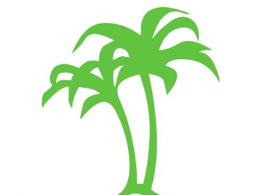 Pflanzen_0001 palme-Wandtattoo-Fensterbild-Wandbild-Wandaufkleber