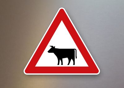 Verkehrsschild-Verkehrszeichen-Gefahrenzeichen-Viehtrieb-Aufstellung-rechts-101-12
