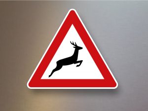 Verkehrsschild-Verkehrszeichen-Gefahrenzeichen-Wildwechsel-Aufstellung-links-142-20