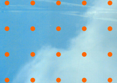 Vogelschutzfolie-wegas-Punkteraster-orange#304