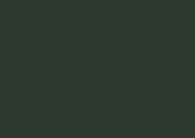 Autofolie-Avery-Matte-Olive-Green-BP1070001