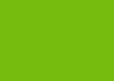 Autofolie_3M_2080_G16-Gloss Light Green