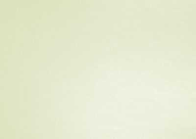 Autofolie-Avery-Pearl -Gloss-White-Snow-BO8450001