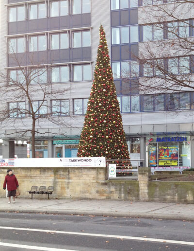 500-Riesen-Luxusbaum-XXL-Weihnachtsbaum-12-Meter
