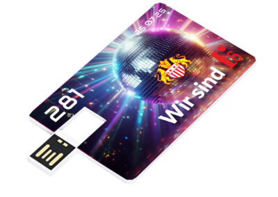 631-USB Stick-Karte-Vollfarbe-Fotodruck