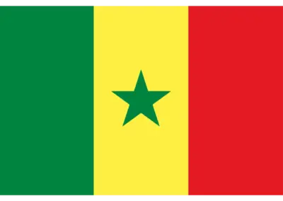 Fussball-Weltmeisterschaft-WM-2026-Nationalflagge-Senegal
